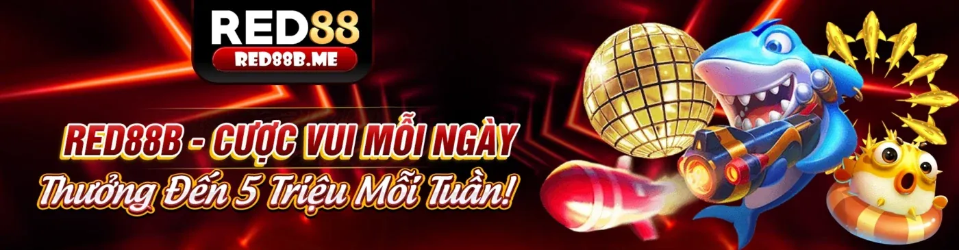 Hình ảnh chính blog Wi55, thể hiện tin tức và hướng dẫn cá cược trực tuyến